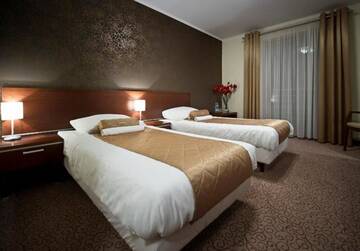 Фото номера Одноместный номер Отель Hotel Ines г. Сендзишув-Малопольски 5